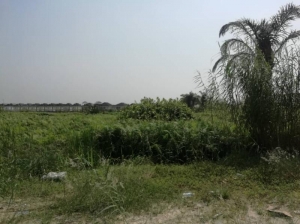 Image 1 Title
