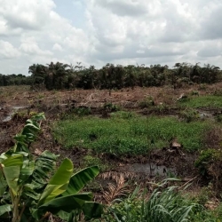 Land For Sale In Epe Lagos State Land for Sale Epe Lagos Vetra  Property