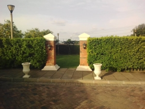 Image 1 Title