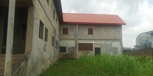 Image 1 Title