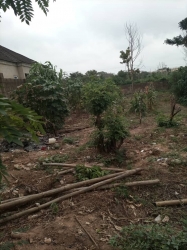 800sqm Land At Kolapo Ishola Gra 800 Meter Square of Land for Sale Ibadan Oyo Vetra  Property