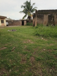 Image 1 Title