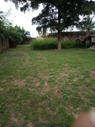 Image 1 Title