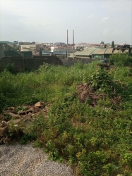 Image 1 Title