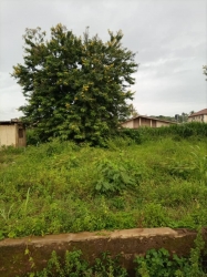 2 Plots Of Land Directly On The Road 2 Plots of Land for Sale Ibadan Oyo Vetra  Property