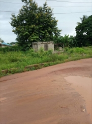Image 1 Title