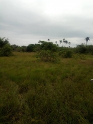Plots Of Land  Land for Sale Ibeju Lekki Lagos Vetra  Property