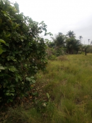 Land For Sale In Lepia Village Ibeju Lekki Lagos Land for Sale Ibeju Lekki Lagos Vetra  Property