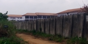 Image 1 Title