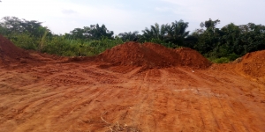 Land In Pankishan, Isawo, Agric, Ikorodu Lagos Land for Sale Ikorodu Lagos Vetra  Property