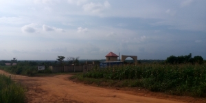 Image 1 Title