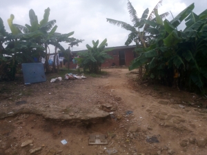 Image 1 Title