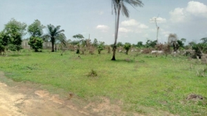 Image 1 Title