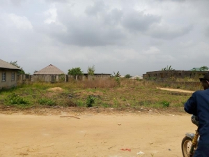 Land And Plots (half Plot Of Land)  1 Plot of Land for Sale Ikorodu Lagos Vetra  Property