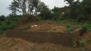 Image 1 Title