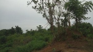 Image 1 Title
