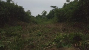 Image 1 Title