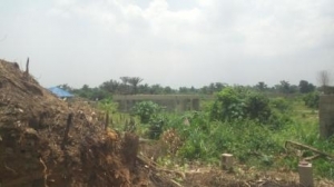 Image 1 Title