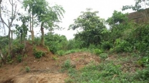 Image 1 Title