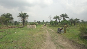 Image 1 Title