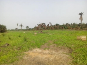 Land 664 Meter Square of Land for Sale Ikorodu Lagos Vetra  Property