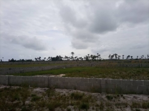 Land For Sale In Okun Akodo Close To Lacampagne Tropicana Beach Resort Land for Sale Ibeju Lekki Lagos Vetra  Property