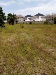 Land For Sale In Eleko Beach Road  Land for Sale Ibeju Lekki Lagos Vetra  Property