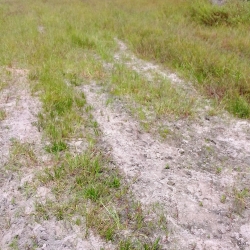 Land For Sale In Onitsha Owerri Road  Land for Sale Awka South Anambra Vetra  Property