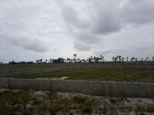 C Of O Land For Sale In Sangotedo Monastery Road Land for Sale Ajah Lagos Vetra  Property