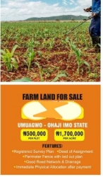 Farm Land For Sale In Umuagwo Ohaji  Land for Sale Ohaji Egbema Imo Vetra  Property