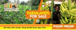 Farm Land For Sale In Oke Odan After Owode Along Idirioko Road  Land for Sale Obafemi Owode Ogun Vetra  Property