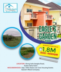 Affordable Land For Sale In Isele Azagba Road Asaba  Land for Sale Asaba Delta Vetra  Property