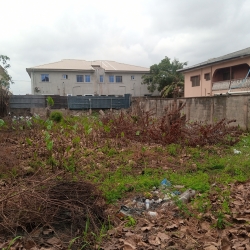 Land For Sale At Sholuyi Gbagada 1 Plot of Land for Sale Gbagada Lagos Vetra  Property