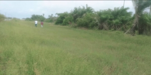 Image 1 Title
