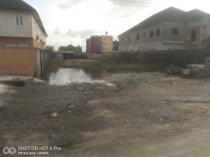 Partly Fenced Plots Of Land In Kajola Town Lekki Lagos  Land for Sale Ibeju Lekki Lagos Vetra  Property