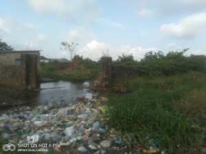 Image 1 Title
