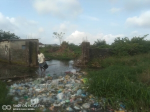 Image 1 Title