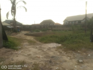 Image 1 Title