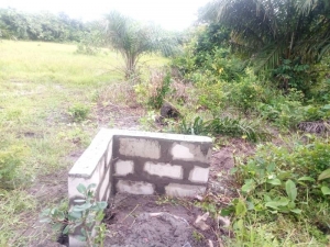 Image 1 Title