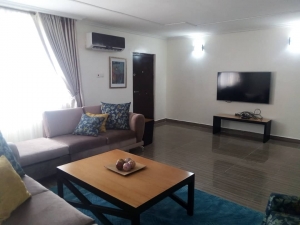 Luxury 4 Bedroom Duplex 24 Hours Electricity And Security Lovely Pool 4 bedroom Self Contain for Short let Victoria Island Lagos Vetra  Property
