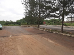 Image 1 Title