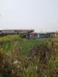 Image 1 Title