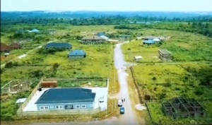 Image 1 Title