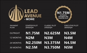 Affordable Plots Of Land Land for Sale Obafemi Owode Ogun Vetra  Property