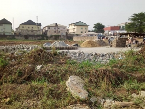 Image 1 Title