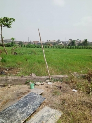 Image 1 Title