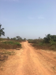 Land For Sale Ibeju Lekki Orunfun Village(cedarwood Phase 3) Land for Sale Ibeju Lekki Lagos Vetra  Property