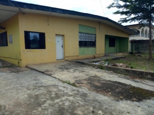 Image 1 Title