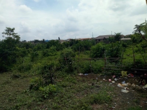 Viable 2 Plots Of Bare Land 2 Plots of Land for Sale Ibadan Oyo Vetra  Property