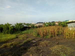 One Acre+ Fenced Bareland  Land for Sale Ibadan Oyo Vetra  Property